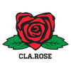 Translation missing: it.Cla.rose accessibility.home